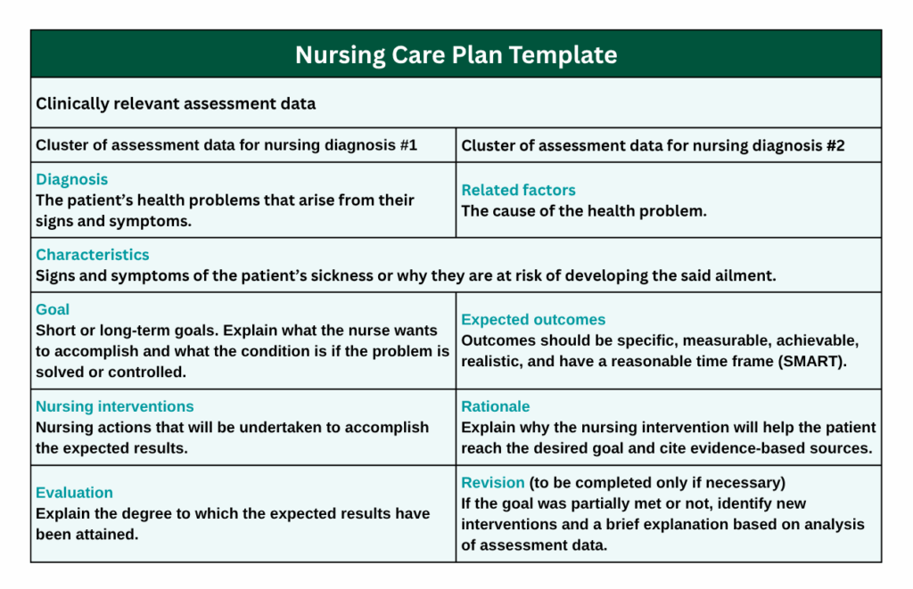 Nursing Care Plan Template