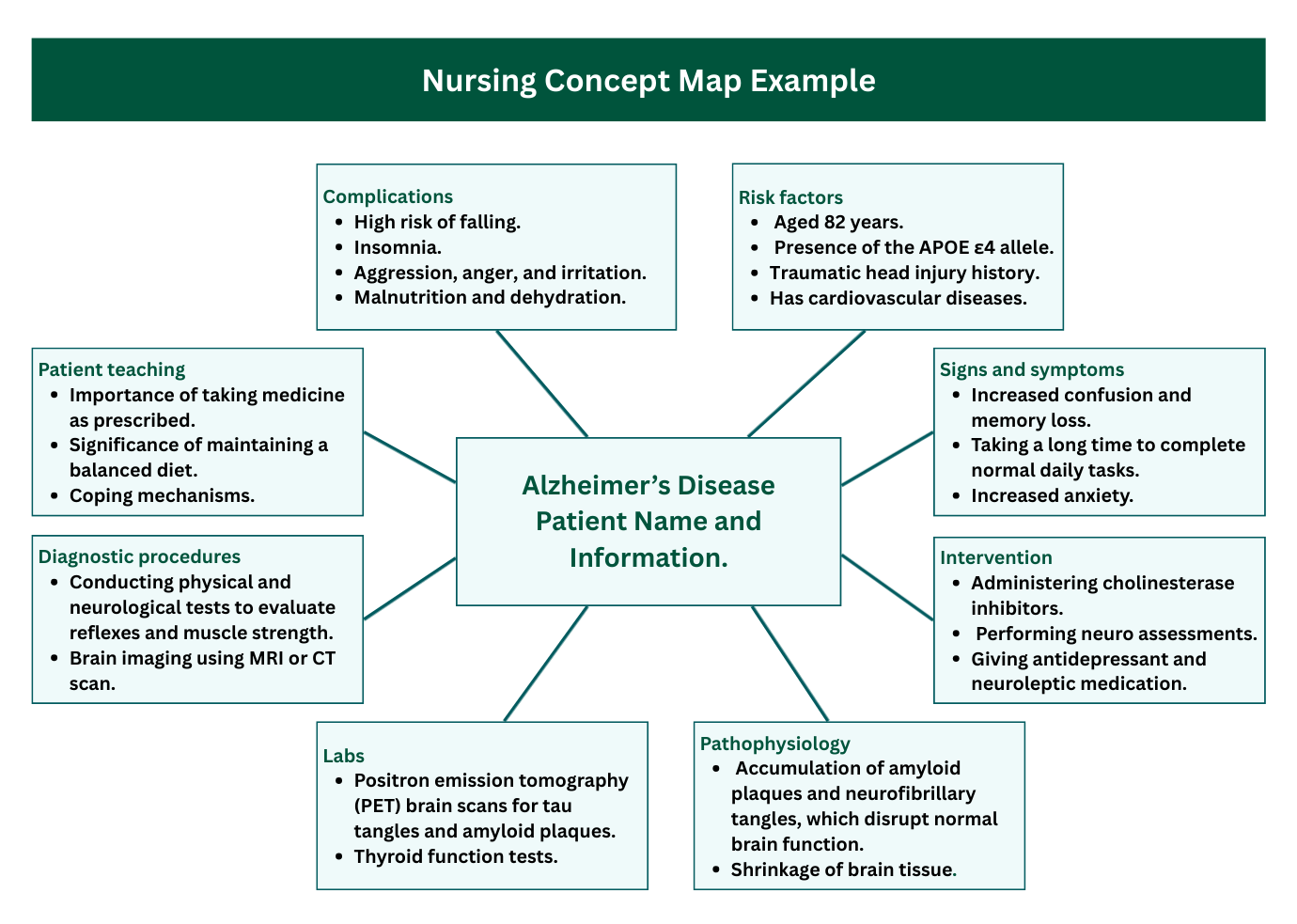 Nursing Concept Map Example