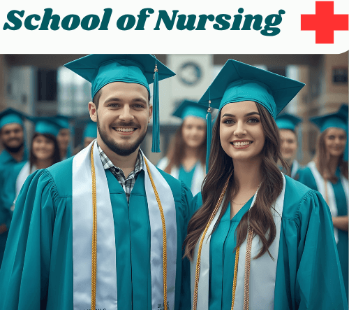 Help to Write a DNP Literature Review