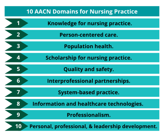 10 AACN Domains for Nursing Practice